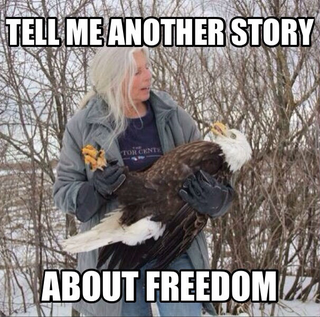 Illustration for article titled FREEDOM POST 2015